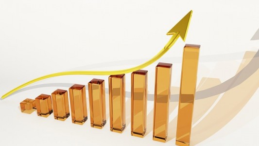 COMUNICAT DE PRESǍ – ACTIVITATEA DESFĂŞURATĂ DE DIRECŢIA REGIONALĂ DE STATISTICĂ CĂLĂRAŞI, ÎN SǍPTǍMÂNA 12 – 16 MAI 2025